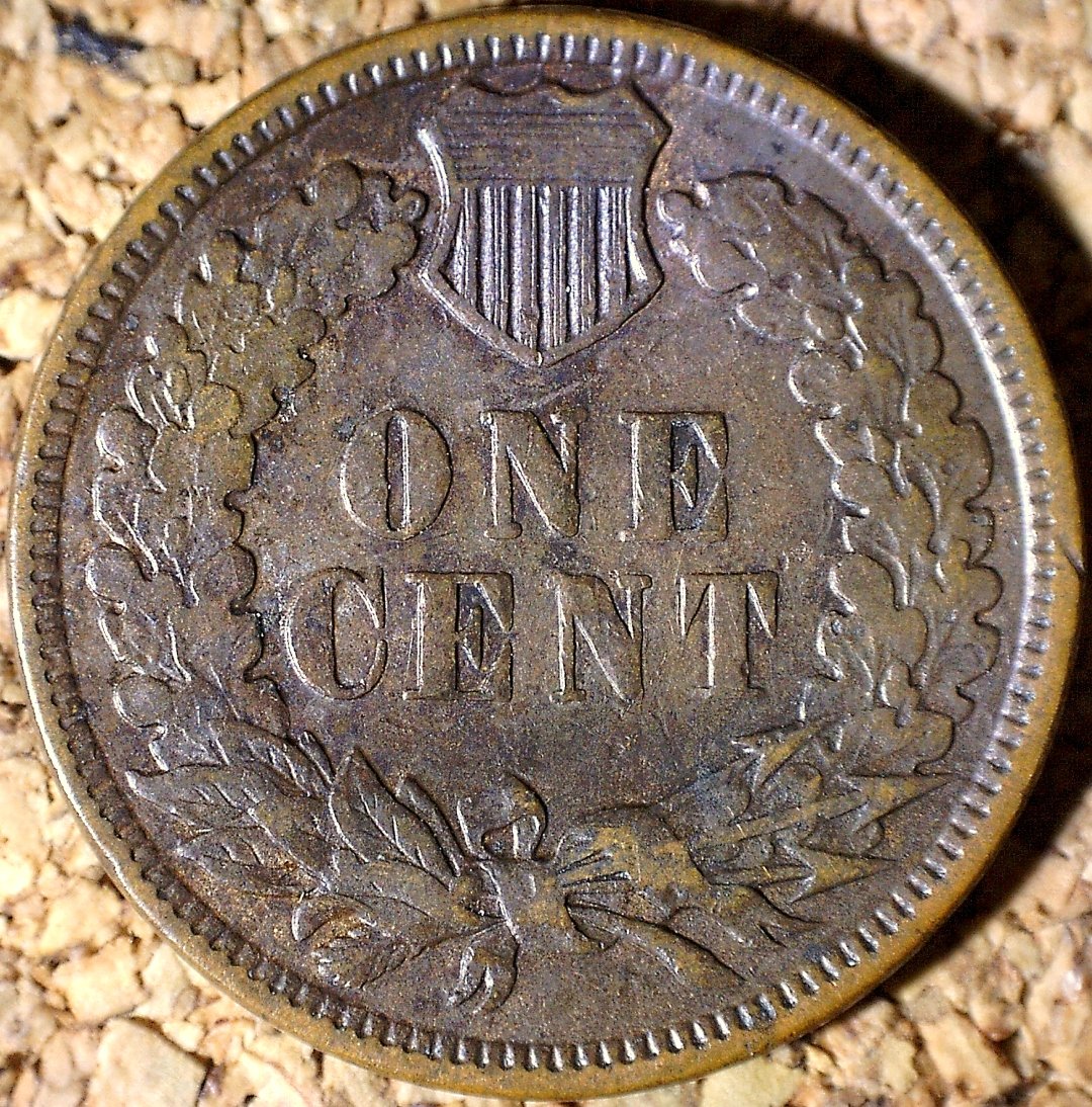 Reverse of 1883 RPD-004, PUN-002 - Indian Head Penny - Photo by David Killough