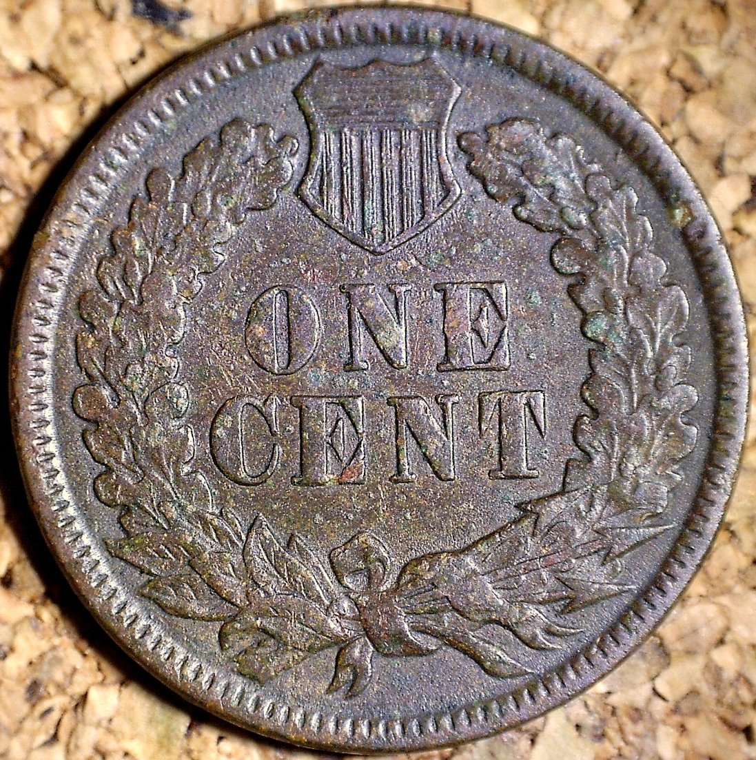 Reverse of 1891 RPD-009 - Indian Head Penny - Photo by David Killough