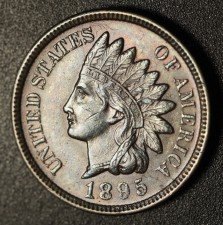 1895 RPD-020 - Indian Head Penny - Photo by Ed Nathanson