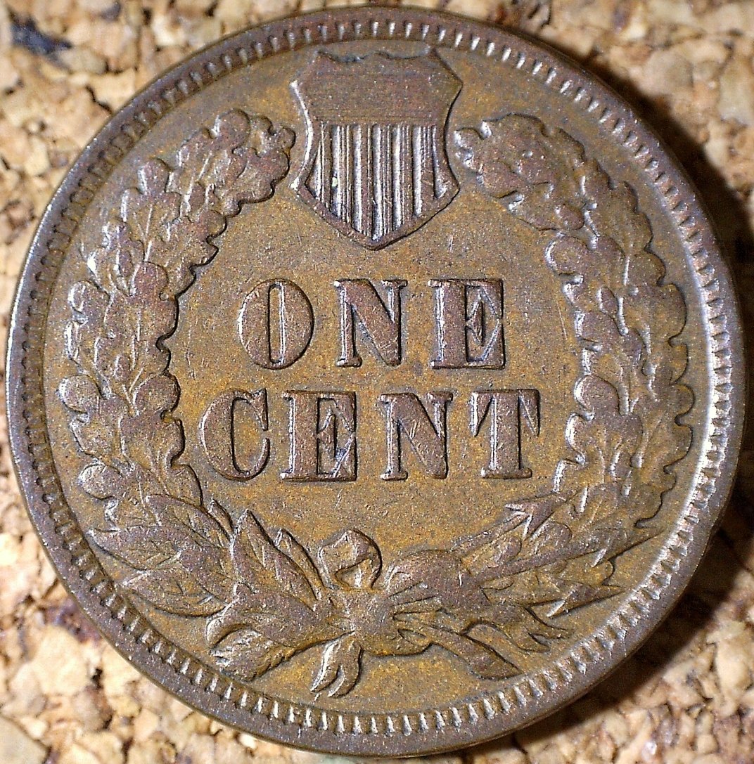 Reverse of 1895 RPD-023 - Indian Head Penny - Photo by David Killough