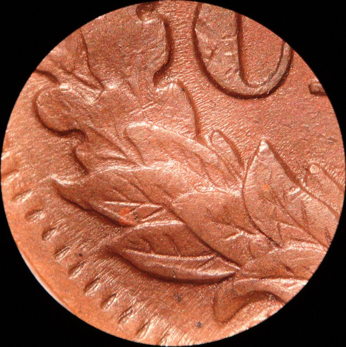 1895 Reverse of RPD-004 Indian Head Penny
