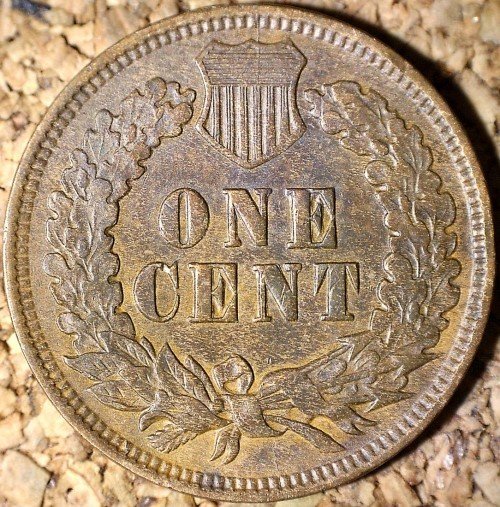 Reverse of 1905 RPD-001 - Indian Head Penny - Photo by David Killough