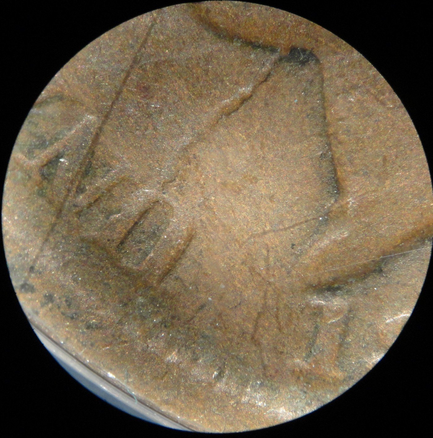 1864 No-L CRK-001 - Indian Head Penny