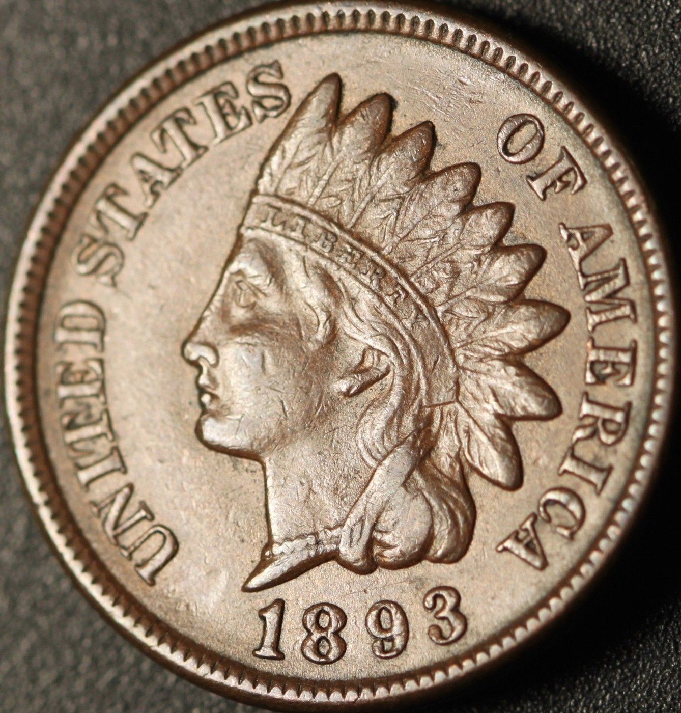 1893 RPD-007 - Indian Head Cent - Photo by Ed Nathanson