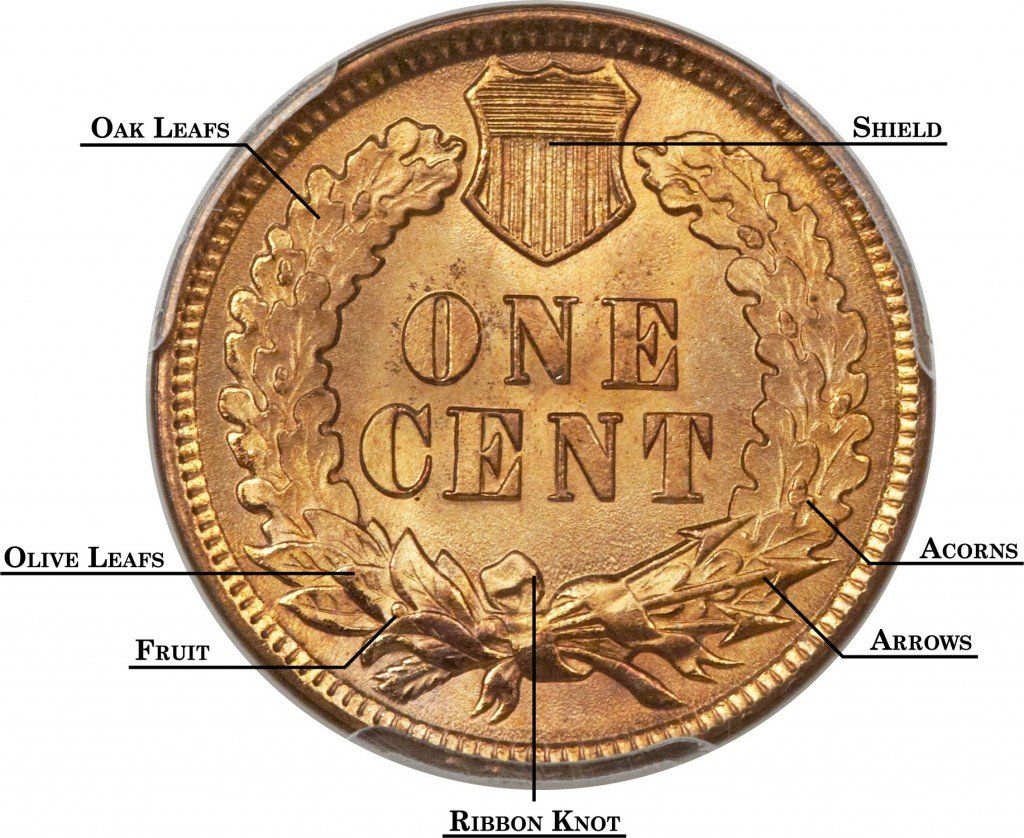 Parts of an Indian Head Penny - Reverse