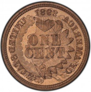 1863 Indian Head Penny Overlay - Reverse