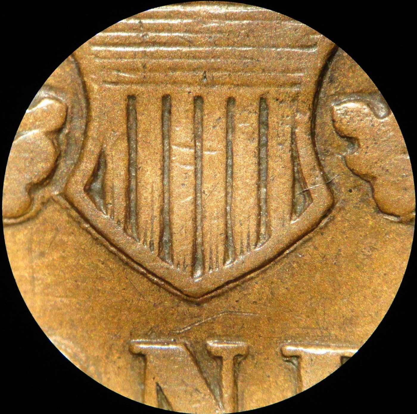 1880 ODD-002 Indian Head Penny