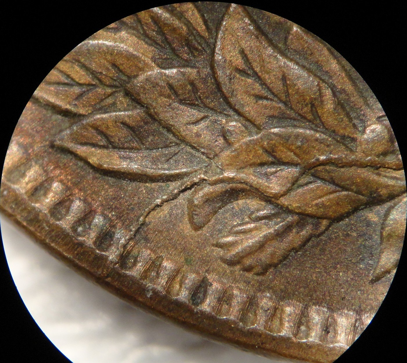 1889 CUD-001 - Indian Head Penny