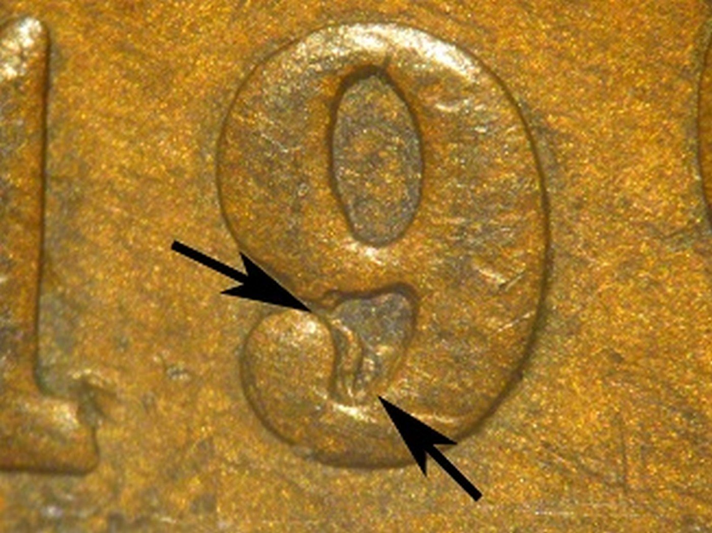 1907 RPD-045 - Indian Head Penny - Photo by David Poliquin