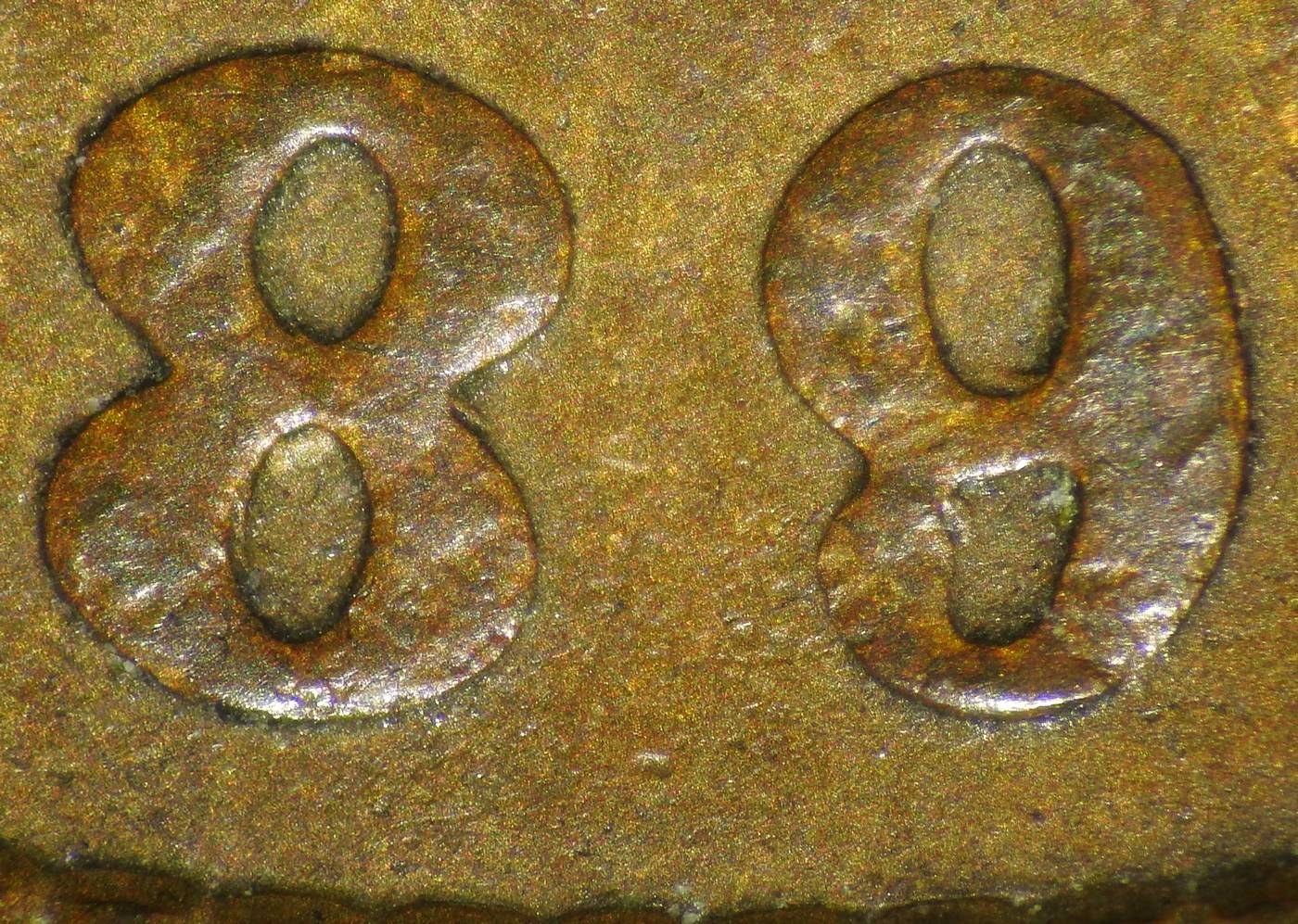 1895 RPD-031 - Indian Head Penny