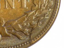 1883 CUD-002 - Indian Head Penny - Photo by David Poliquin