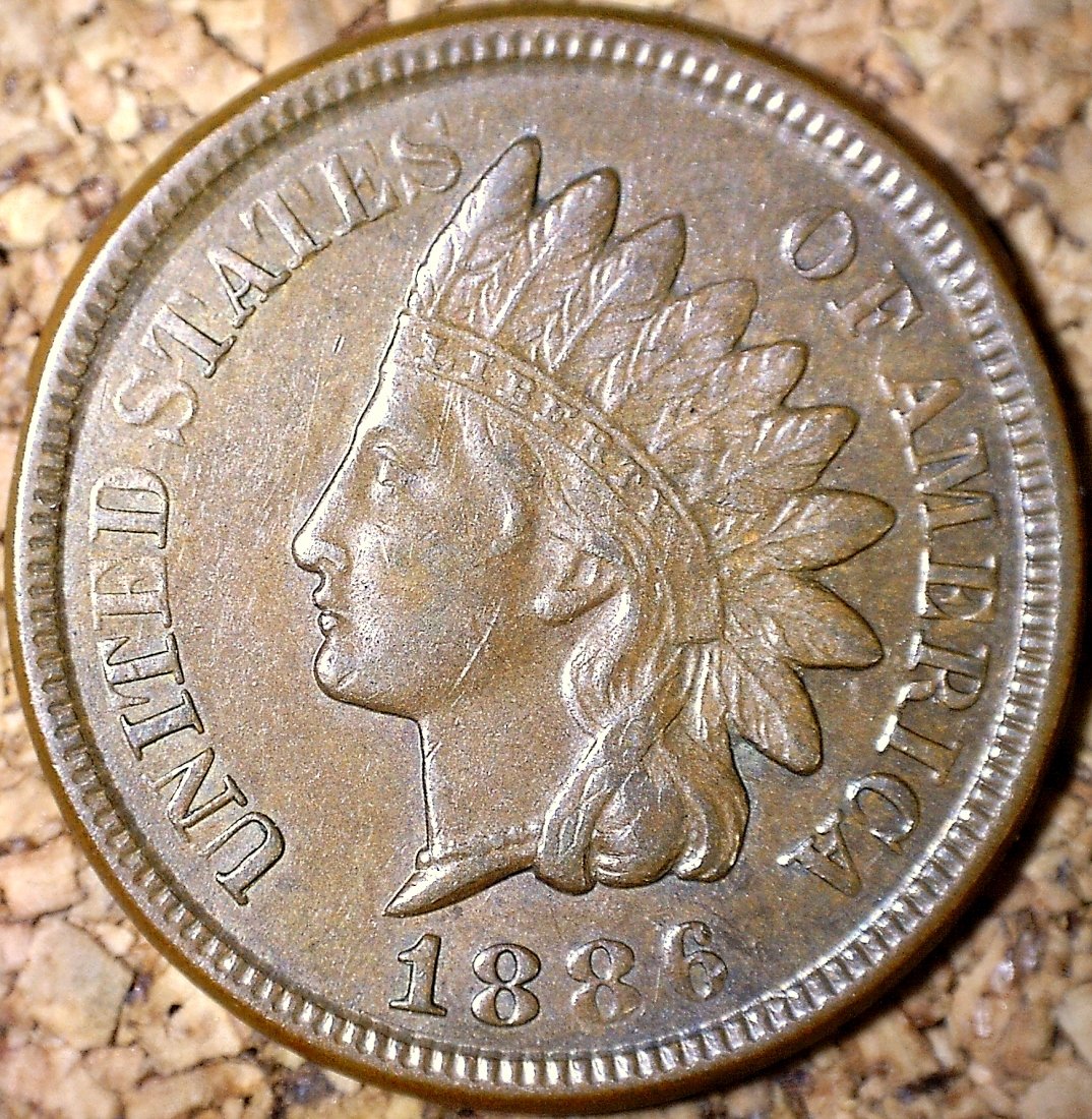 1886 RPD-019 - Indian Head Penny - Photo by David Killough